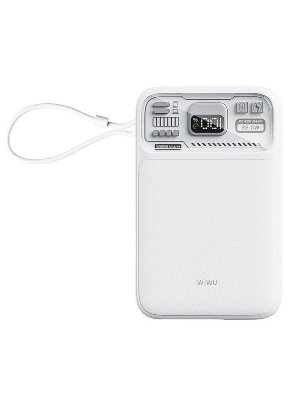 PIN DỰ PHÒNG 10000 mAh WIWU Wi-P016 (BH6T)