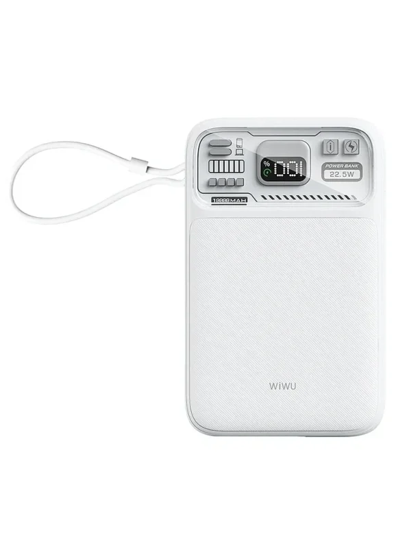 PIN DỰ PHÒNG 10000 mAh WIWU Wi-P016 (BH6T)
