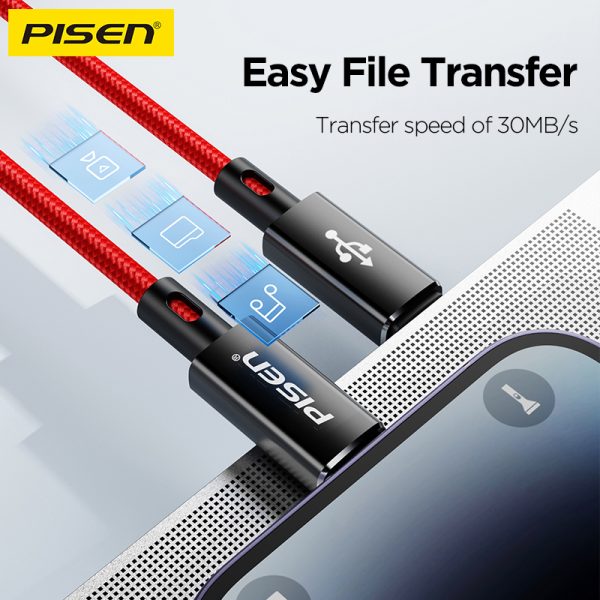 CÁP SẠC C TO L PISEN CL-PD09-1000 (BH18T) - Ảnh 2